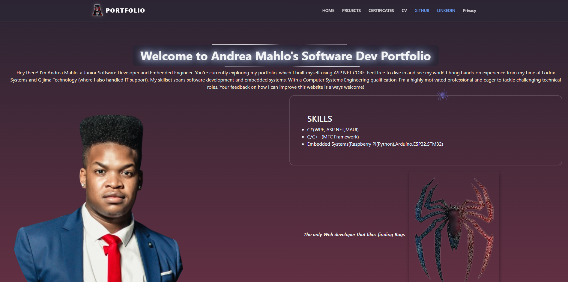 Portfolio site